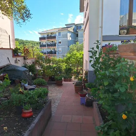 Residenza Il Mirto Apartment